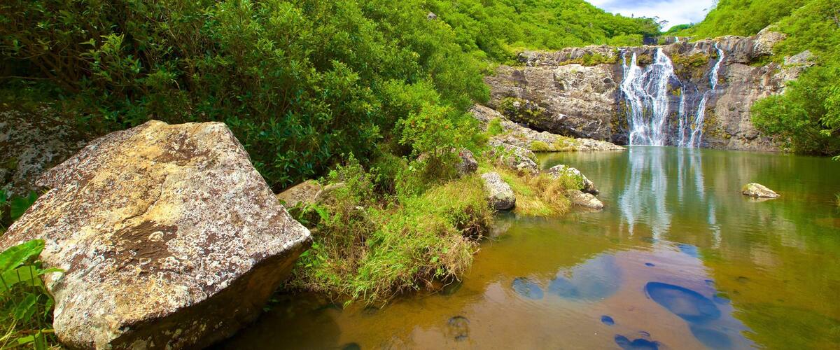 A waterfall cascading into a clear pool surrounded by lush green forest.