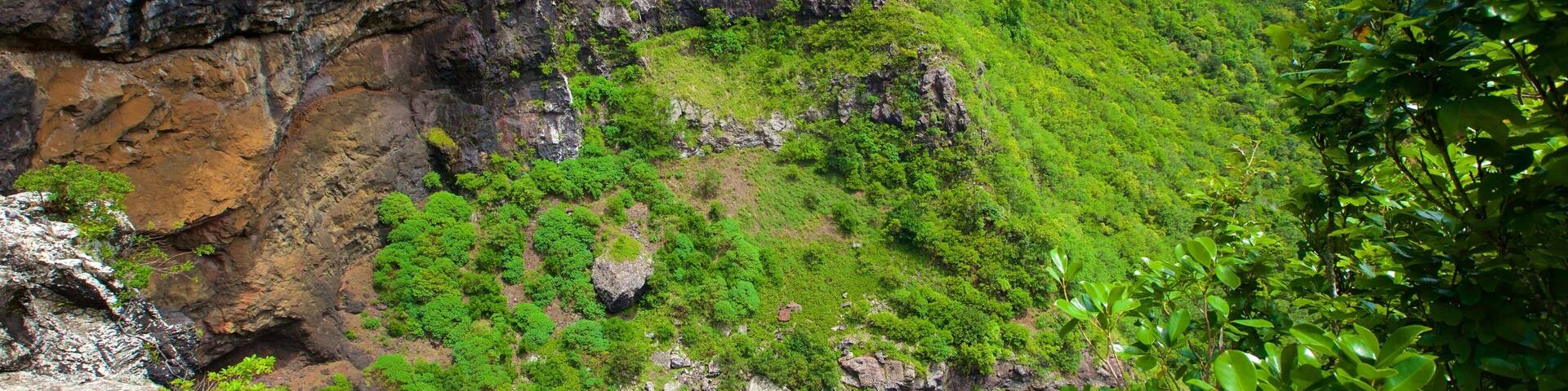 Tamarind Falls which includes a lake or waterhole and a gorge or canyon