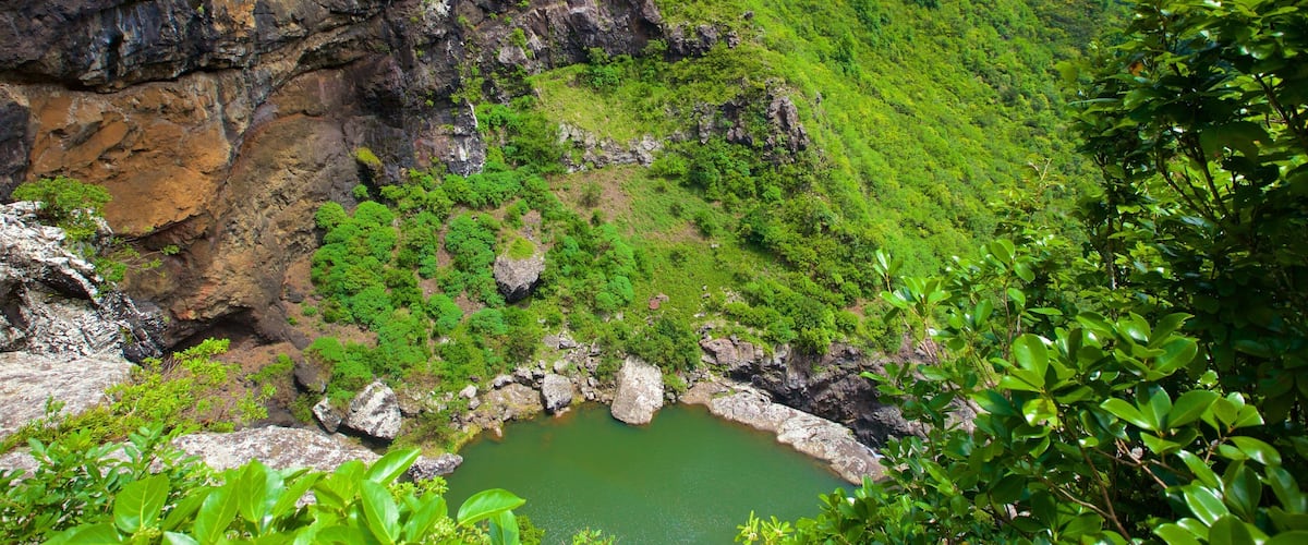 A lush green valley with a small pond surrounded by rocky cliffs and dense vegetation.