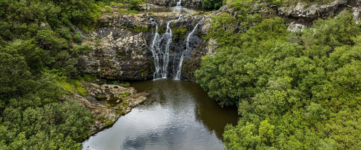 A waterfall cascading into a river surrounded by dense green forest.