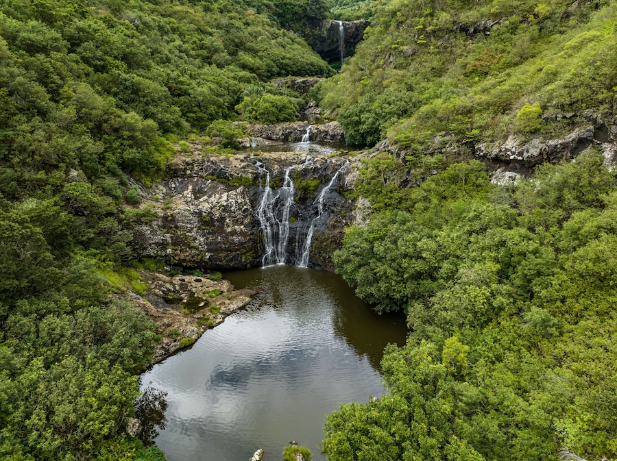 A waterfall cascading into a river surrounded by dense green forest.