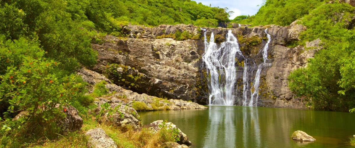 Tamarind Falls which includes a gorge or canyon, a lake or waterhole and a waterfall