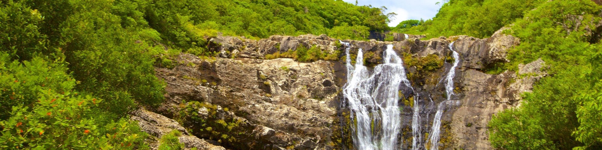 Tamarind Falls which includes a gorge or canyon, a lake or waterhole and a waterfall