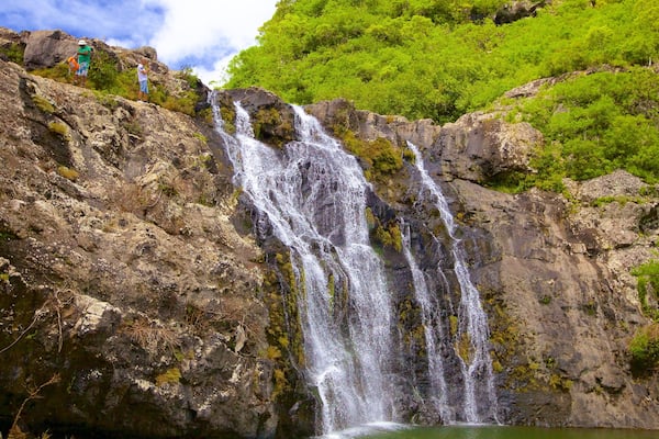 Tamarind Falls featuring a cascade and a gorge or canyon
