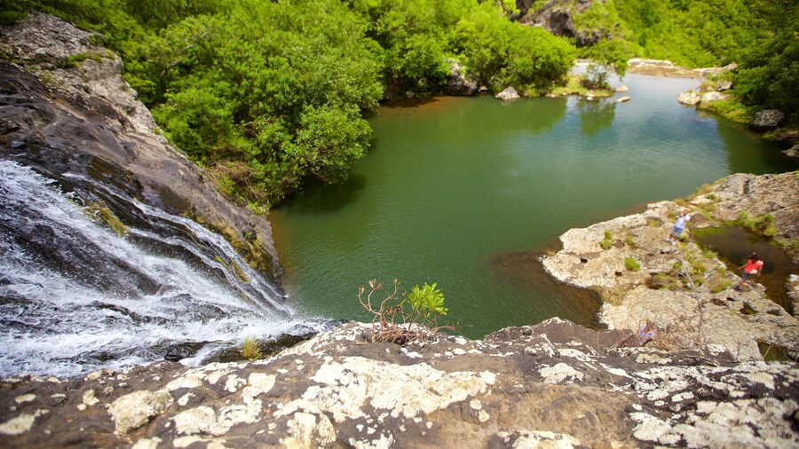 Tamarind Falls que incluye un lago o espejo de agua, una cascada y una garganta o cañón