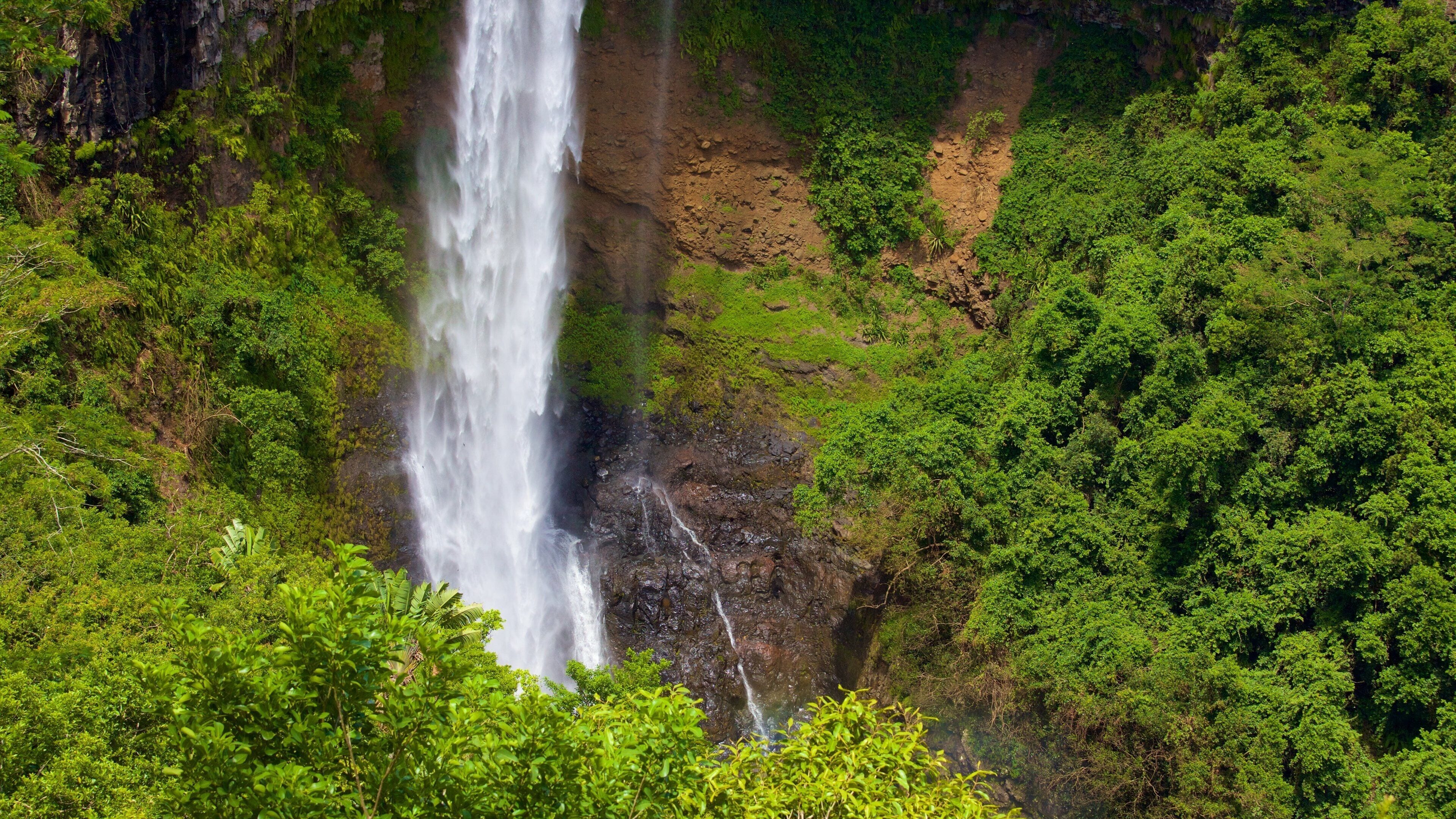Black River Gorges National Park showing a waterfall and rainforest