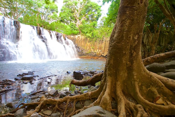 Parc national des Gorges de la RiviĂšre Noire mettant en vedette riviĂšre ou ruisseau et chute d\'eau