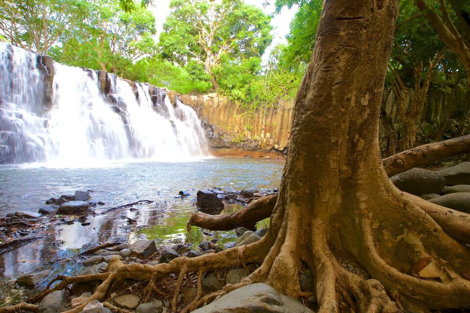 A waterfall cascading into a river surrounded by trees and rocks.