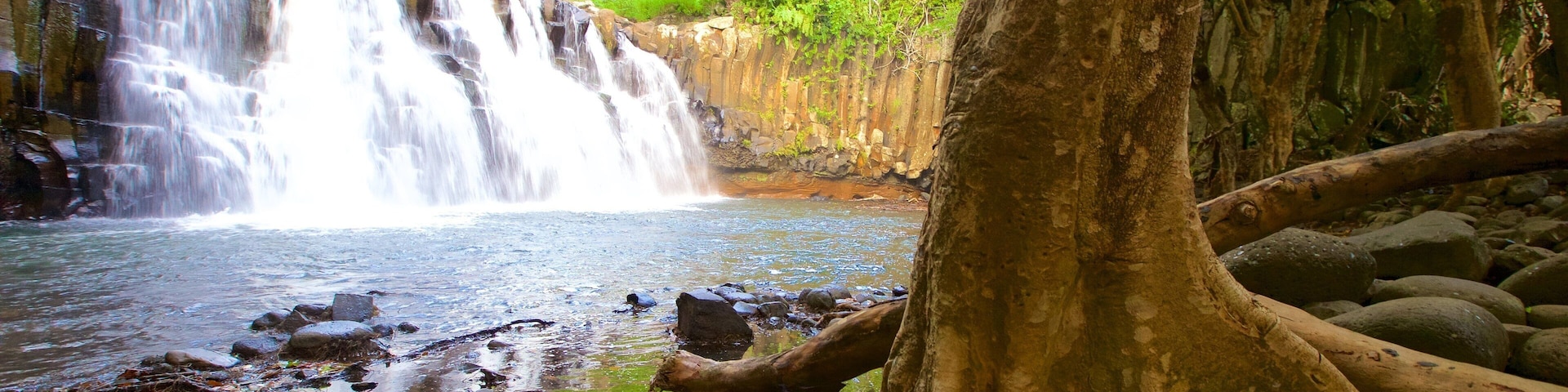 Black River Gorges National Park which includes a waterfall and a river or creek