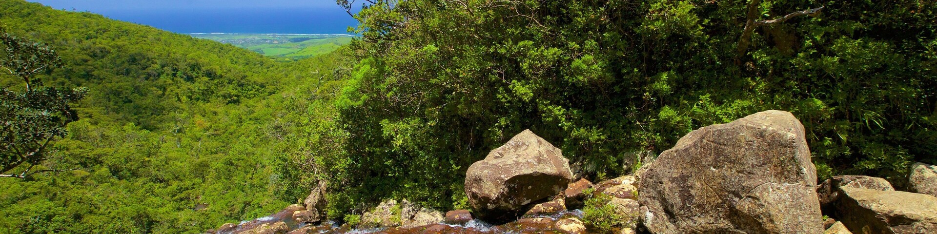 Parc national des Gorges de la RiviĂšre Noire montrant forĂȘt vierge et riviĂšre ou ruisseau