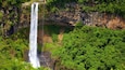 A tall waterfall cascading down a rocky cliff surrounded by dense green forest.