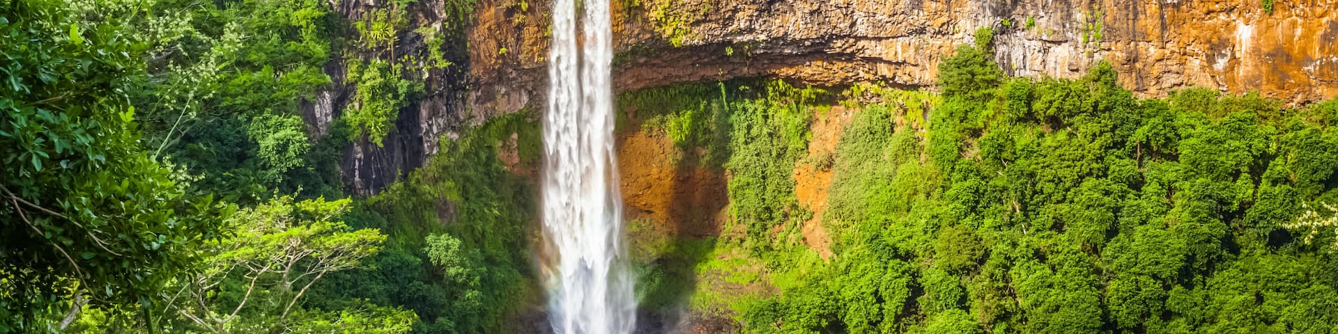 Una cascada que se precipita por un acantilado rodeado de un bosque verde y frondoso.