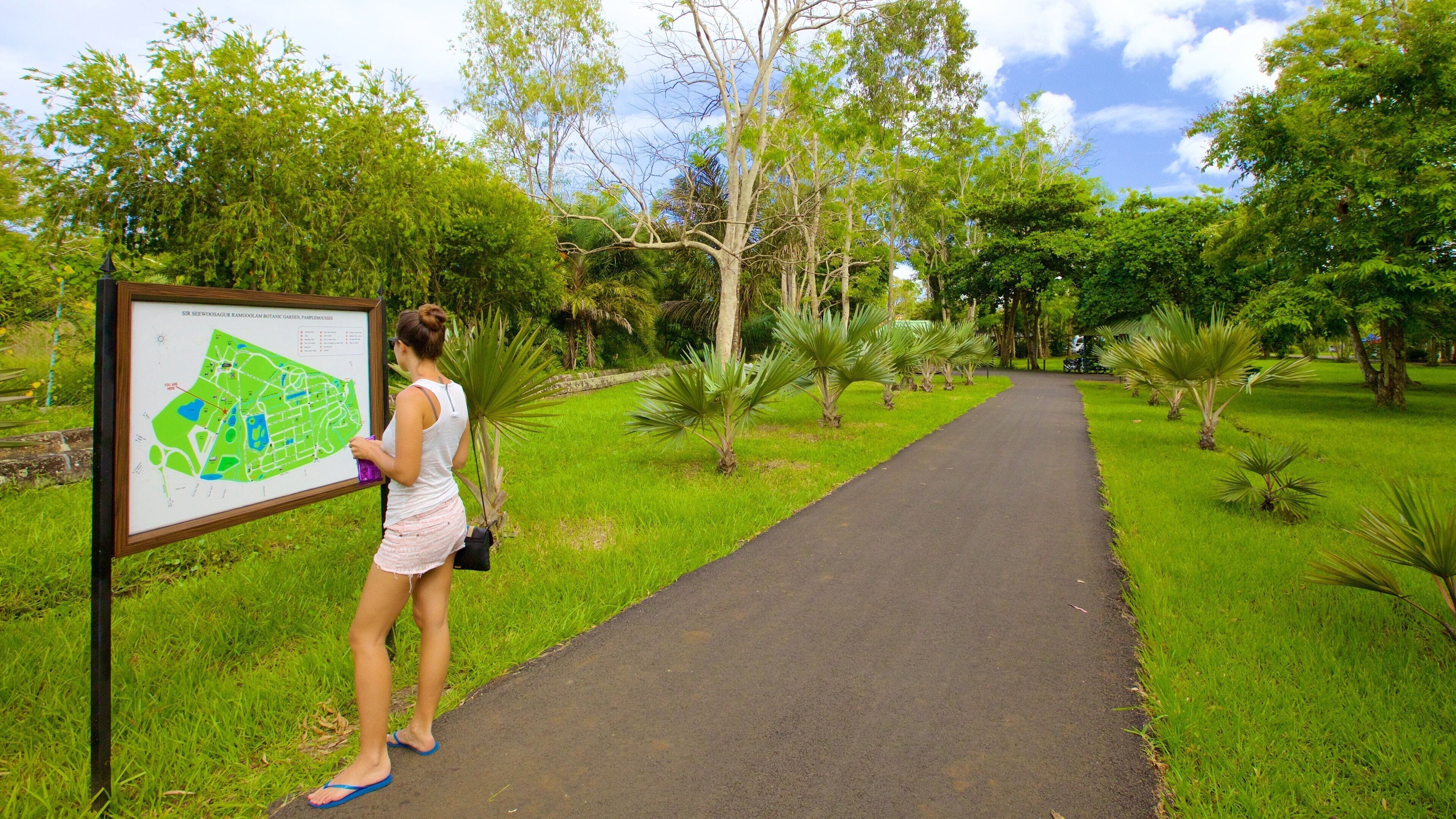 パンプムス ボタニカル ガーデン どの含み ハイキングあるいはウォーキング と 公園