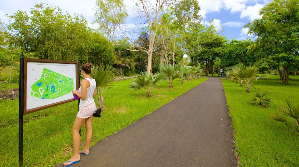 Pamplemousses Botanical Garden which includes a park and hiking or walking