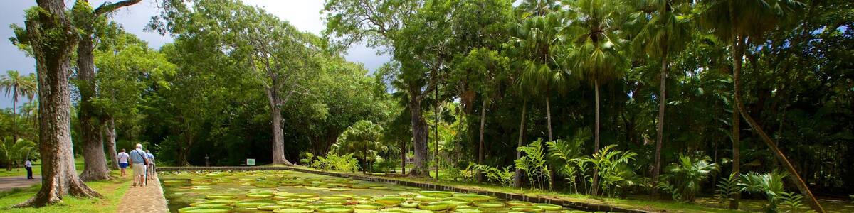 Pamplemousses Botanical Garden which includes a pond and a garden