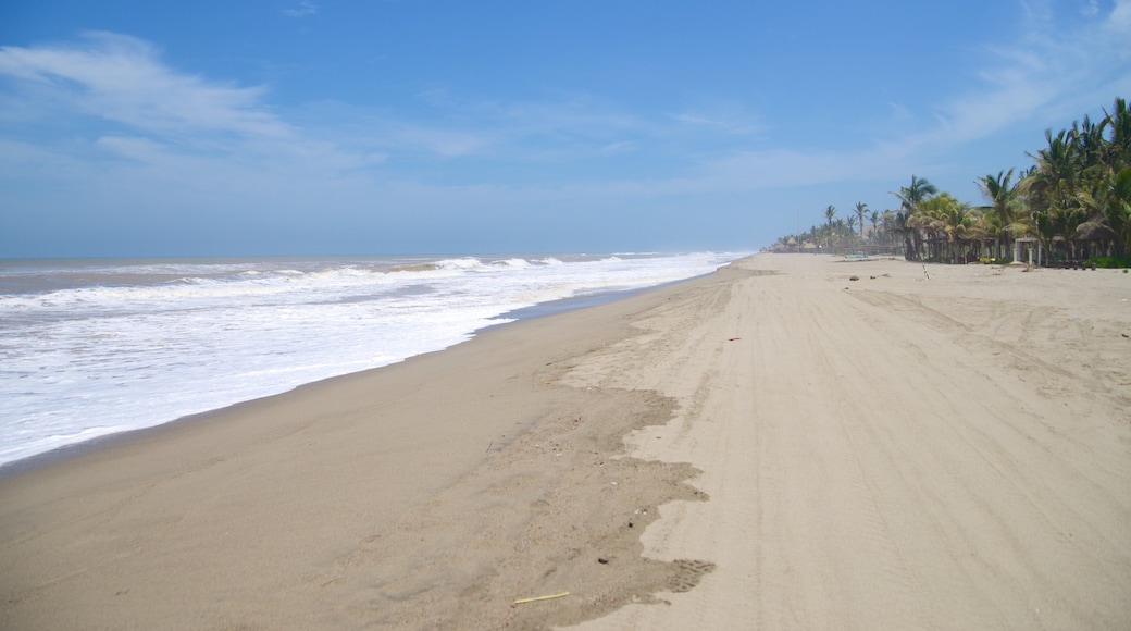 Playa de Barra Vieja which includes a beach