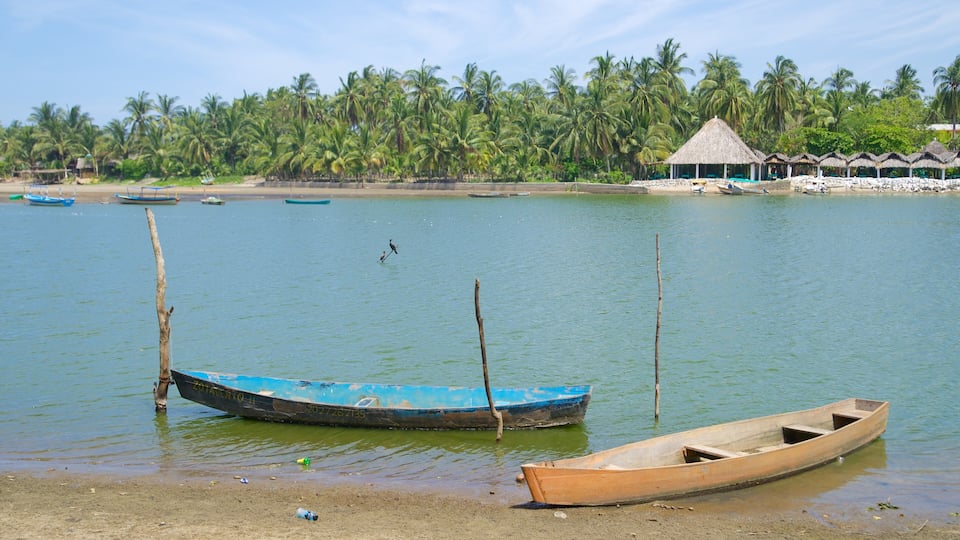 Playa de Barra Vieja featuring tropical scenes, kayaking or canoeing and a sandy beach