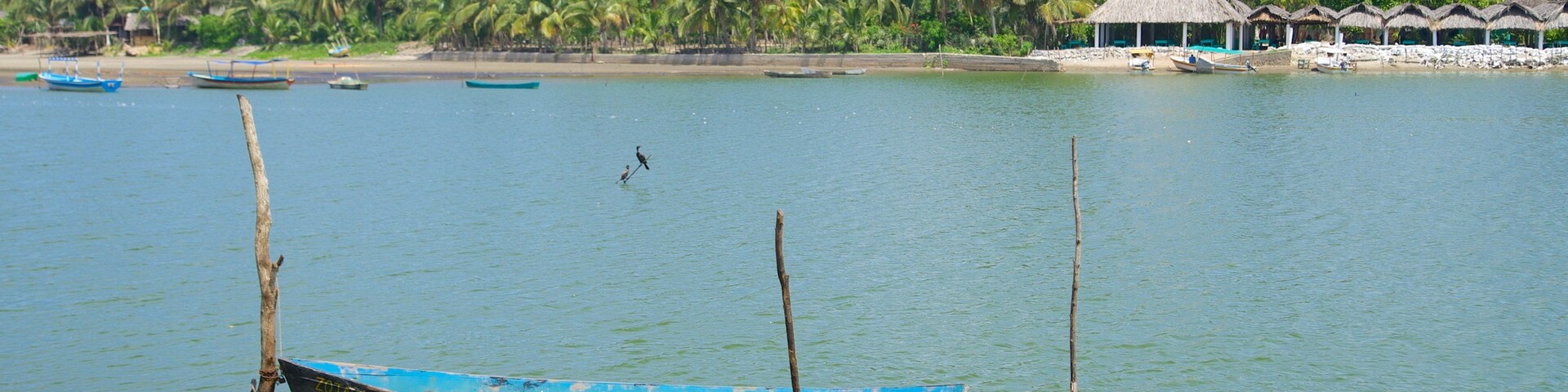 Playa de Barra Vieja mostrando uma praia, cenas tropicais e caiaque ou canoagem