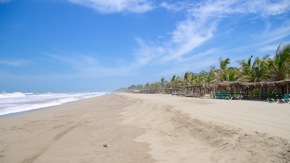 Barra Vieja Beach featuring tropical scenes and a beach