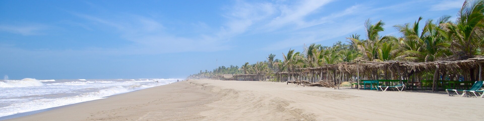 Barra Vieja Beach featuring tropical scenes and a beach