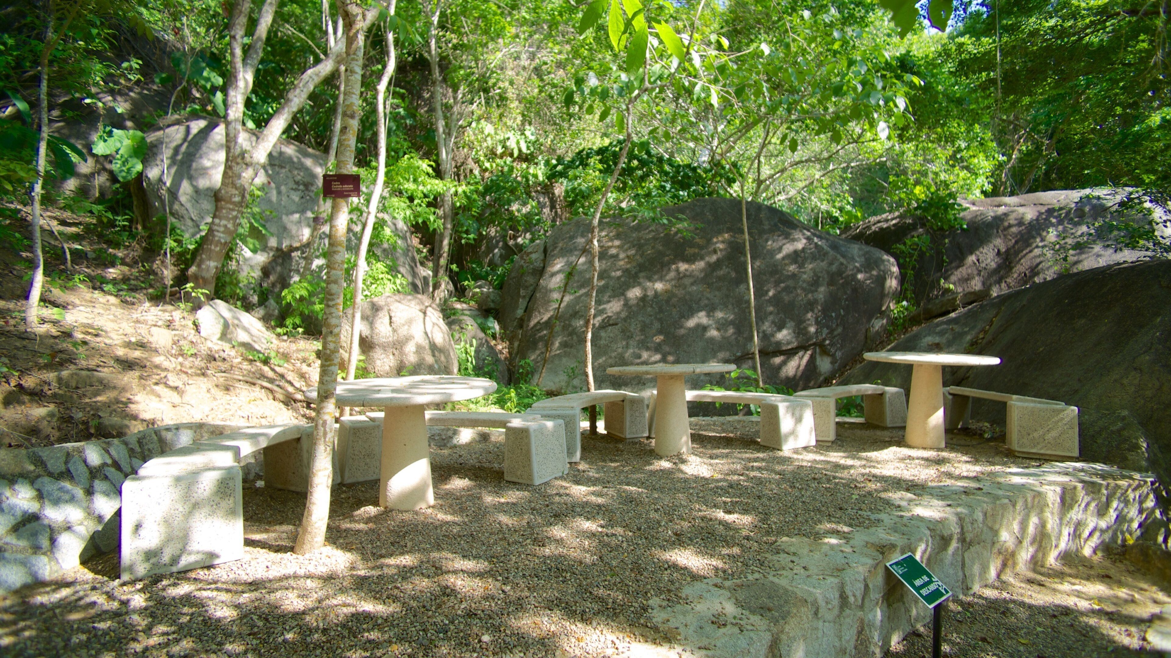 Jardin Botanico de Acapulco featuring a garden