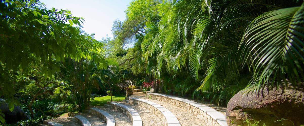 Jardin Botanico de Acapulco showing a park