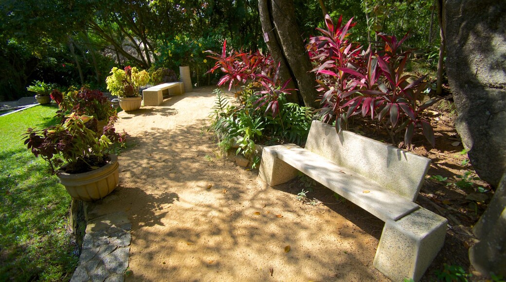 아카풀코 식물원 을 보여주는 정원