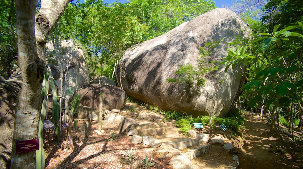 Jardin Botanico de Acapulco showing a garden