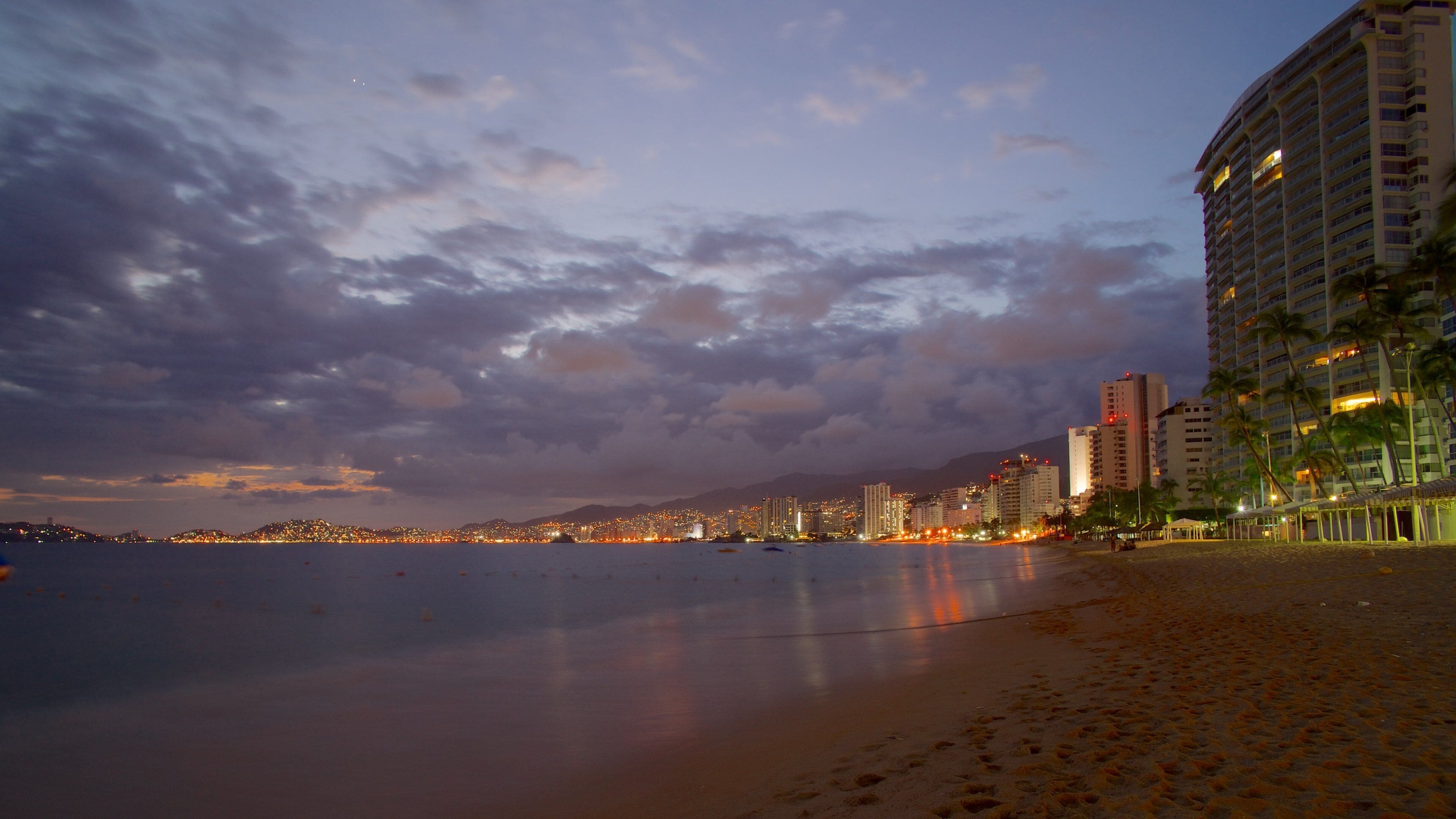 A beach with a city skyline in the background, palm trees, and a cloudy sky.