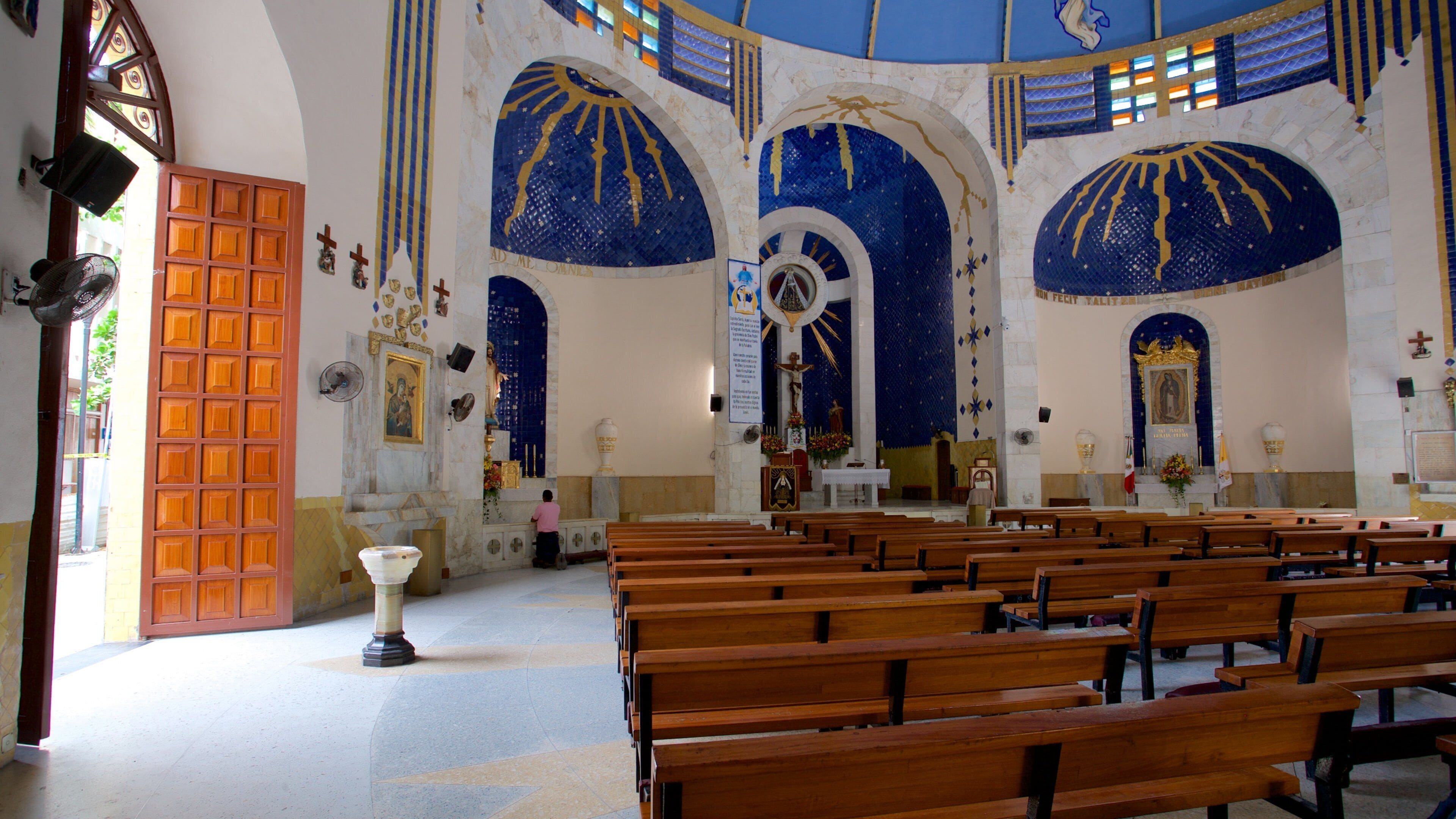 La Catedral ofreciendo una iglesia o catedral y vistas de interior