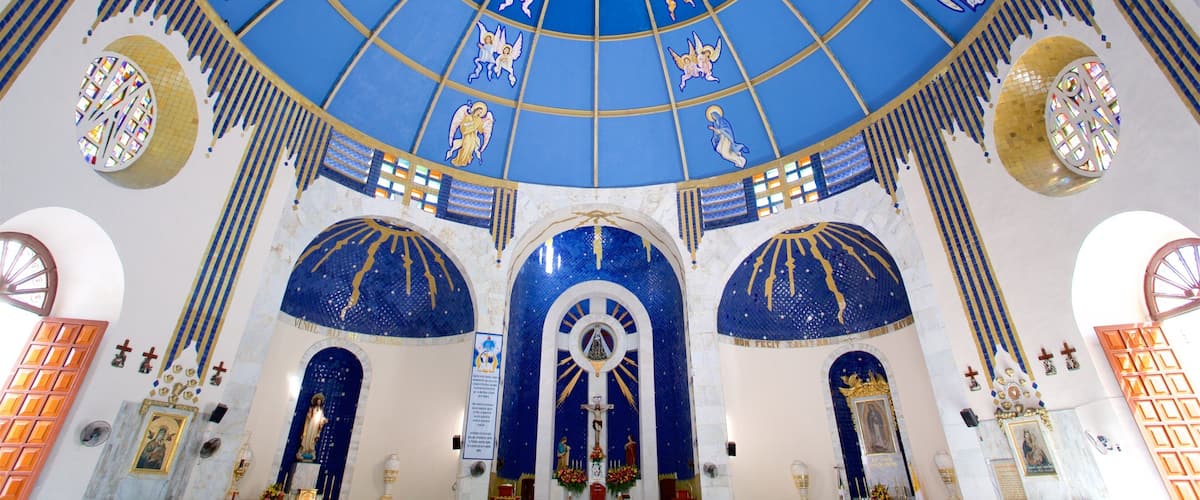 La Catedral showing a church or cathedral, interior views and heritage elements