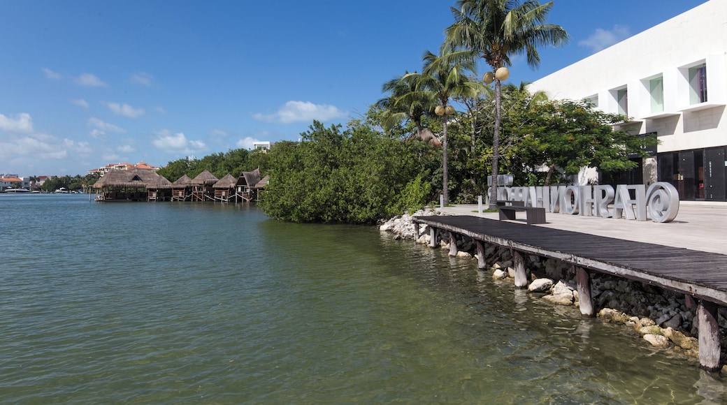 Cancun_LaIslaShoppingMall_6075610_190