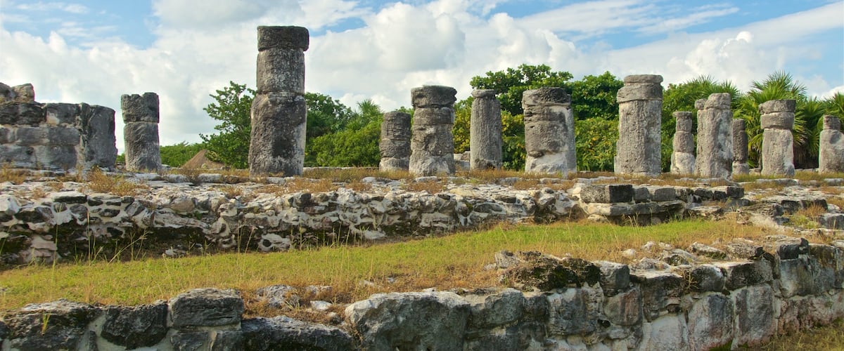 ์ ๋ ์ด ์ ์ ์ง ์ ํน์ง ์ ์ ์ง ๊ณผ ๋ฌธํ์ ์ฐ ์์