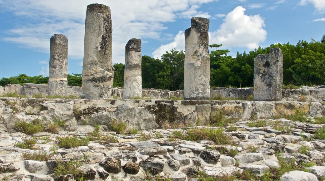 El Rey Ruins showing building ruins