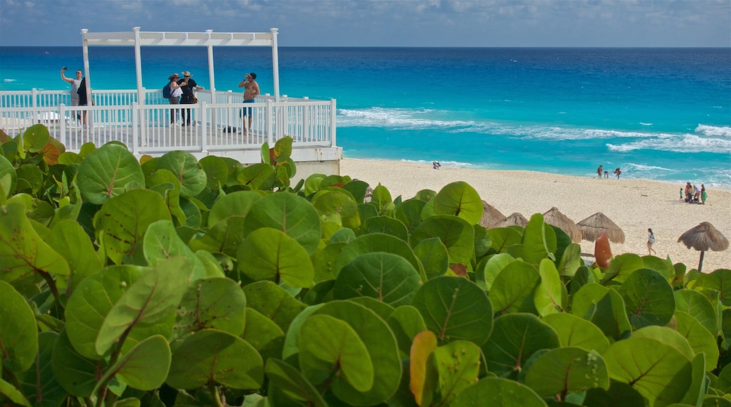 Delfines-stranden fasiliteter samt utsikt, strand og kyst