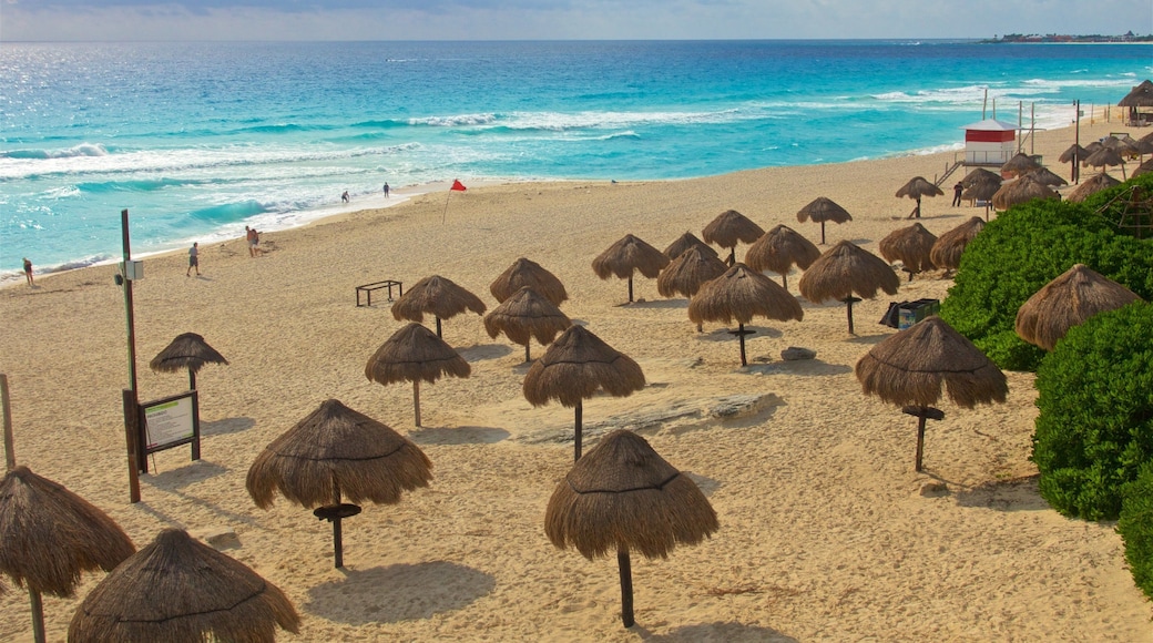 Playa Delfines showing general coastal views, a sandy beach and tropical scenes