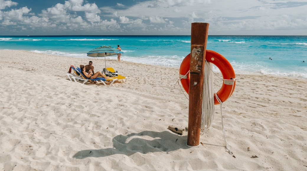 Delfines Beach showing a beach and general coastal views