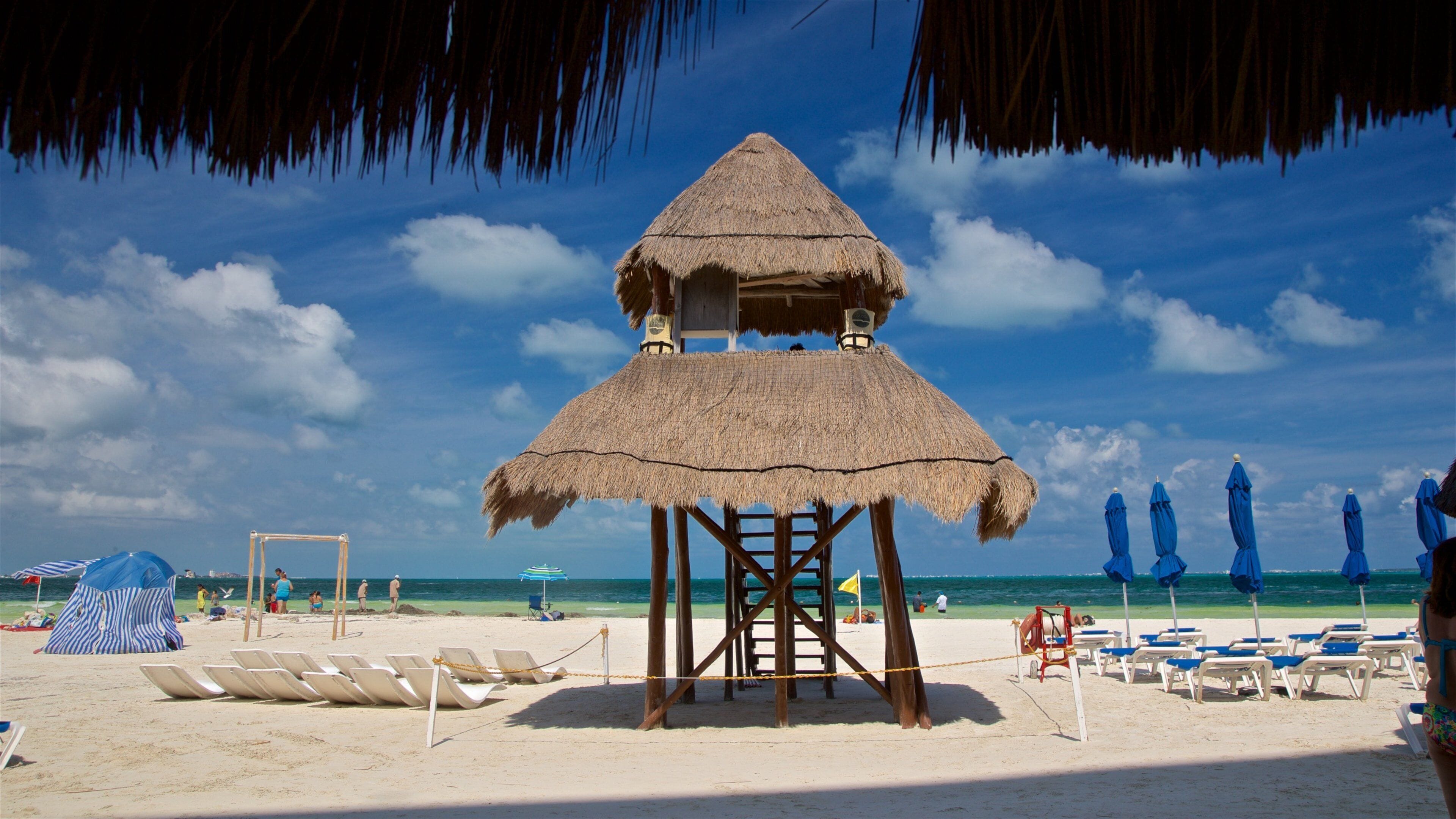 Langosta Beach showing general coastal views, tropical scenes and a sandy beach
