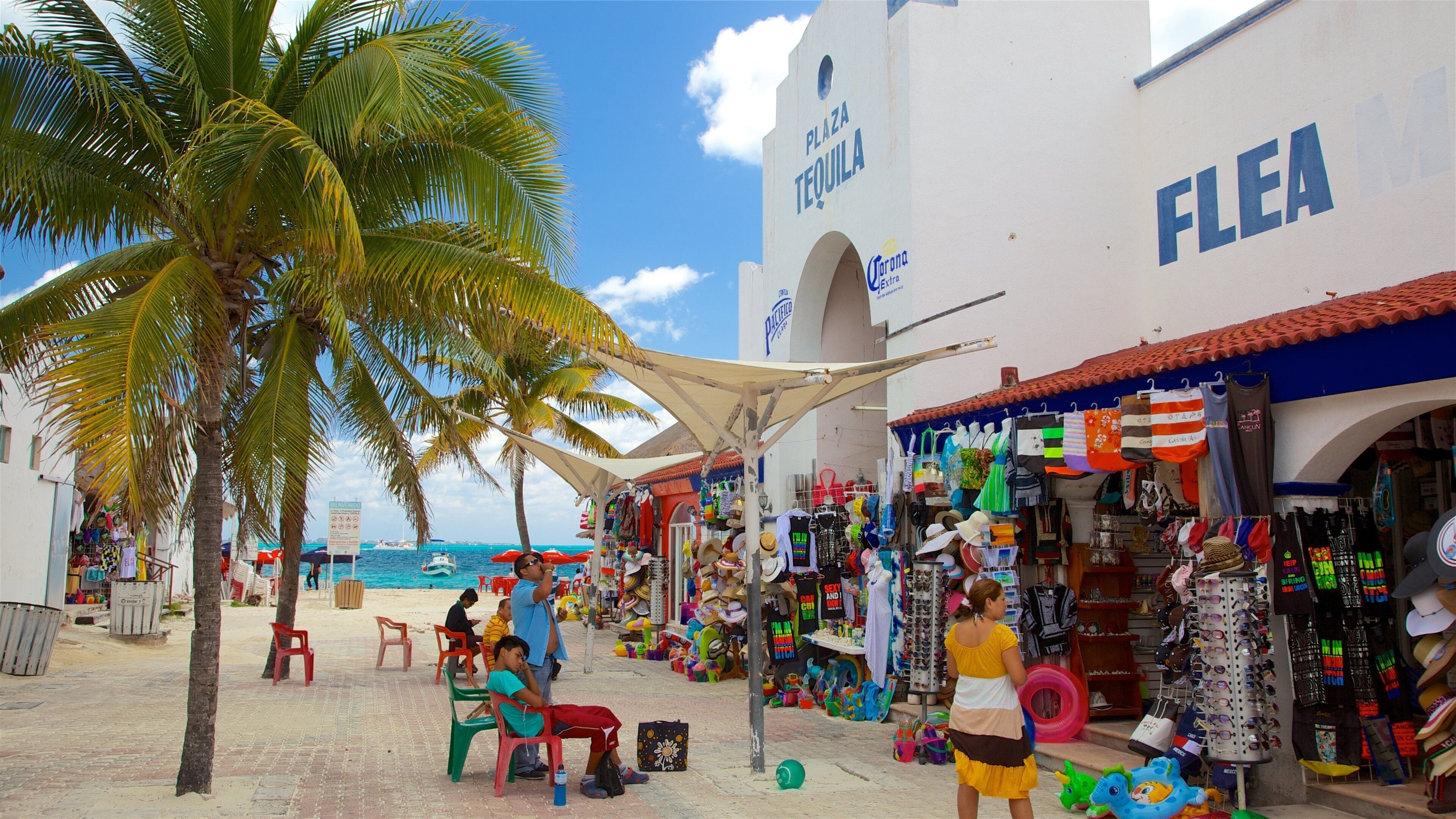 Tortuga Beach showing signage, a coastal town and markets