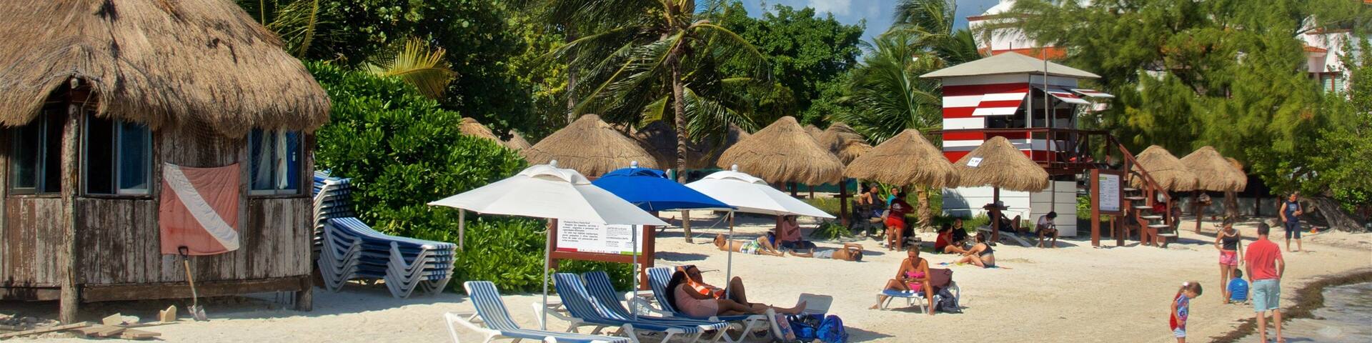 Las Perlas Beach showing general coastal views, a sandy beach and tropical scenes
