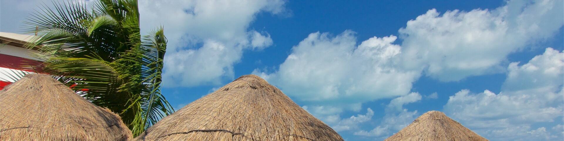 プラヤ ラス ペルラス どの含み 常夏の風景, ビーチ と 海岸線の眺め