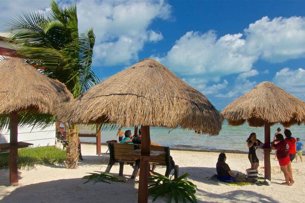 プラヤ ラス ペルラス どの含み 常夏の風景, ビーチ と 海岸線の眺め