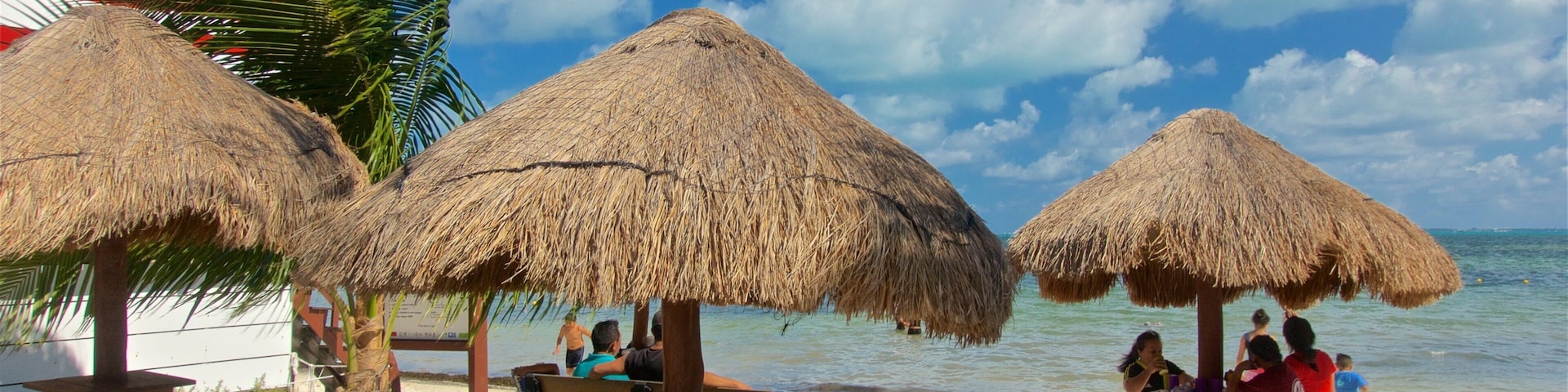 Playa Las Perlas que inclui paisagens litorâneas, uma praia e cenas tropicais