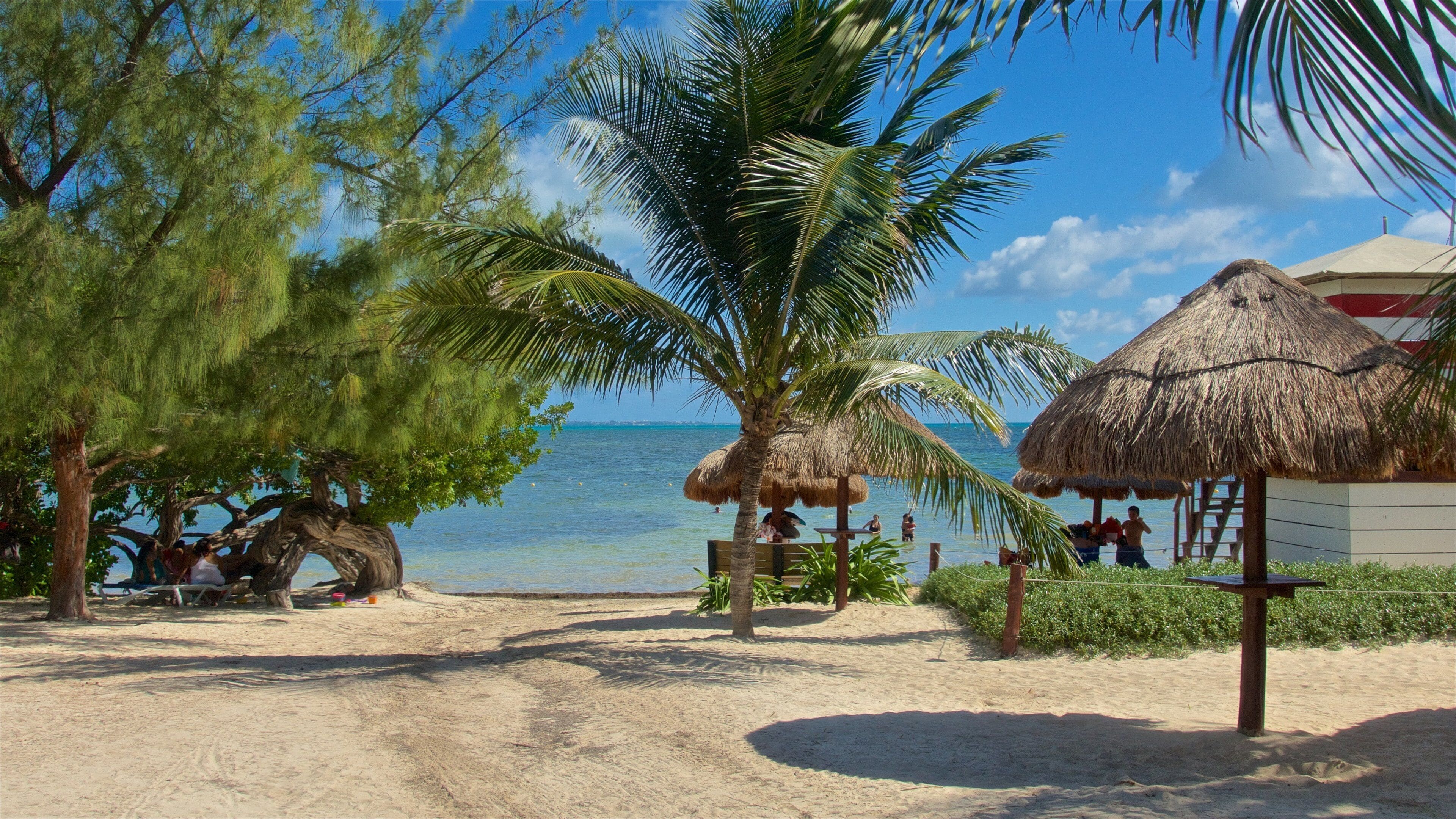 Playa las Perlas ofreciendo una playa de arena, vistas generales de la costa y escenas tropicales