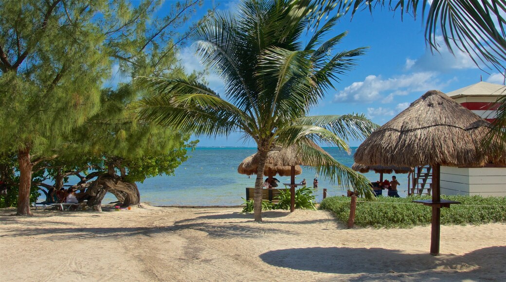 Playa las Perlas ofreciendo una playa de arena, vistas generales de la costa y escenas tropicales