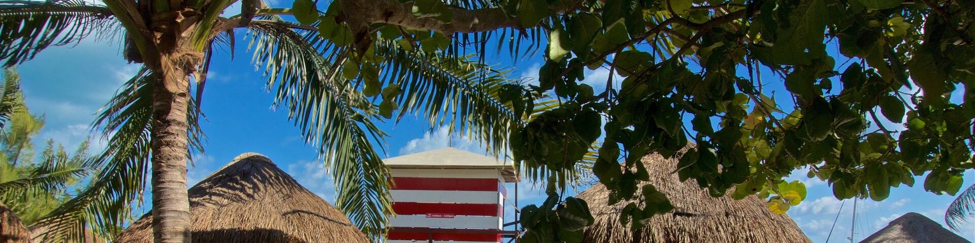 Playa las Perlas ofreciendo escenas tropicales, una playa de arena y vistas generales de la costa