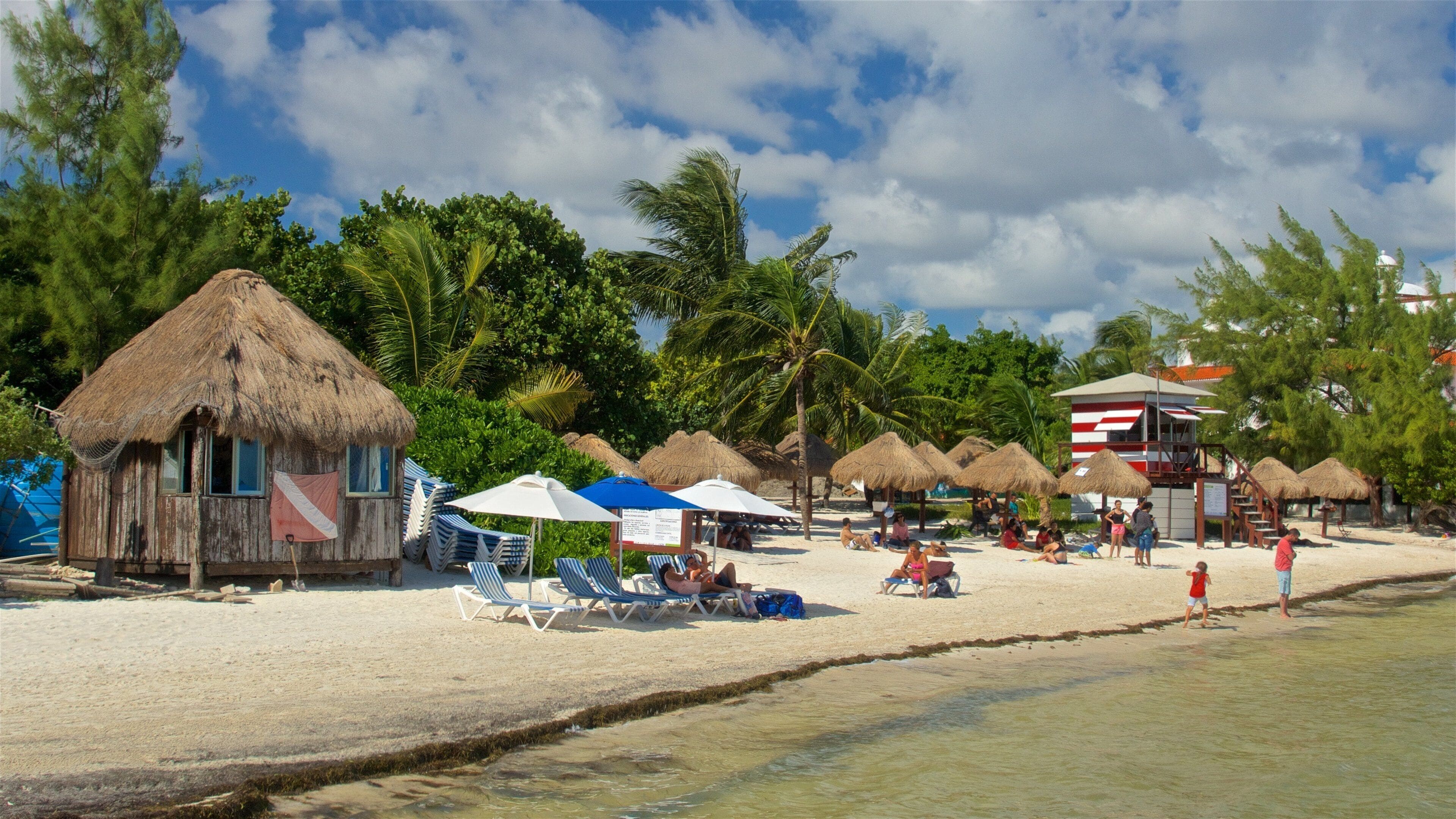 Las Perlas Beach showing general coastal views, tropical scenes and a sandy beach