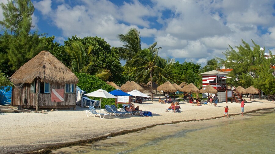 Las Perlas Beach showing general coastal views, tropical scenes and a sandy beach