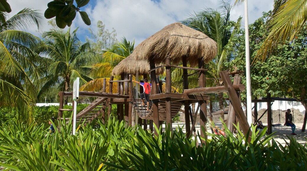 Las Perlas Beach which includes a beach and tropical scenes