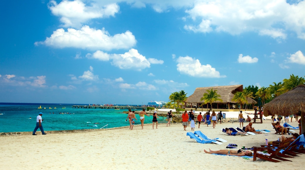Cozumel showing a sandy beach, tropical scenes and general coastal views